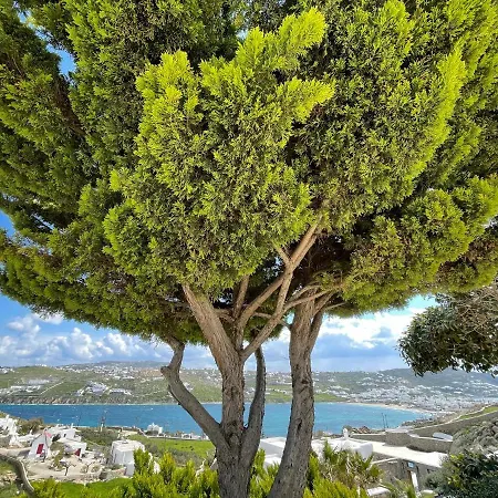 Yalos Mykonos Ornos Pouli Private W Shared Swimming Pool Apartment