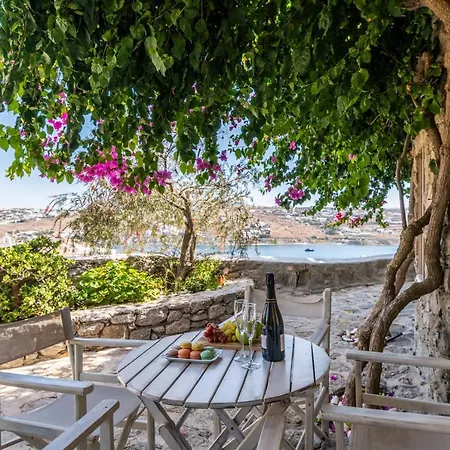 Apartment Yalos Mykonos Ornos Pouli Private W Shared Swimming Pool Mykonos Town